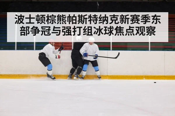 波士顿棕熊帕斯特纳克新赛季东部争冠与强打组冰球焦点观察